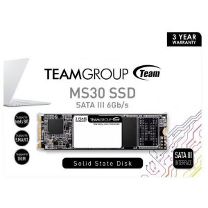 Team MS30 M.2 SATA SSD Retail