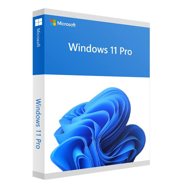 Windows 11 Professional OEM (Only With New Systems)