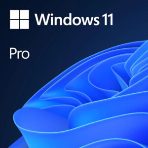 Windows 11 Professional OEM (only with New Systems)