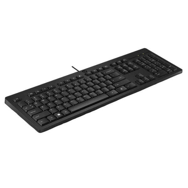 HP 125 Wired USB Keyboard